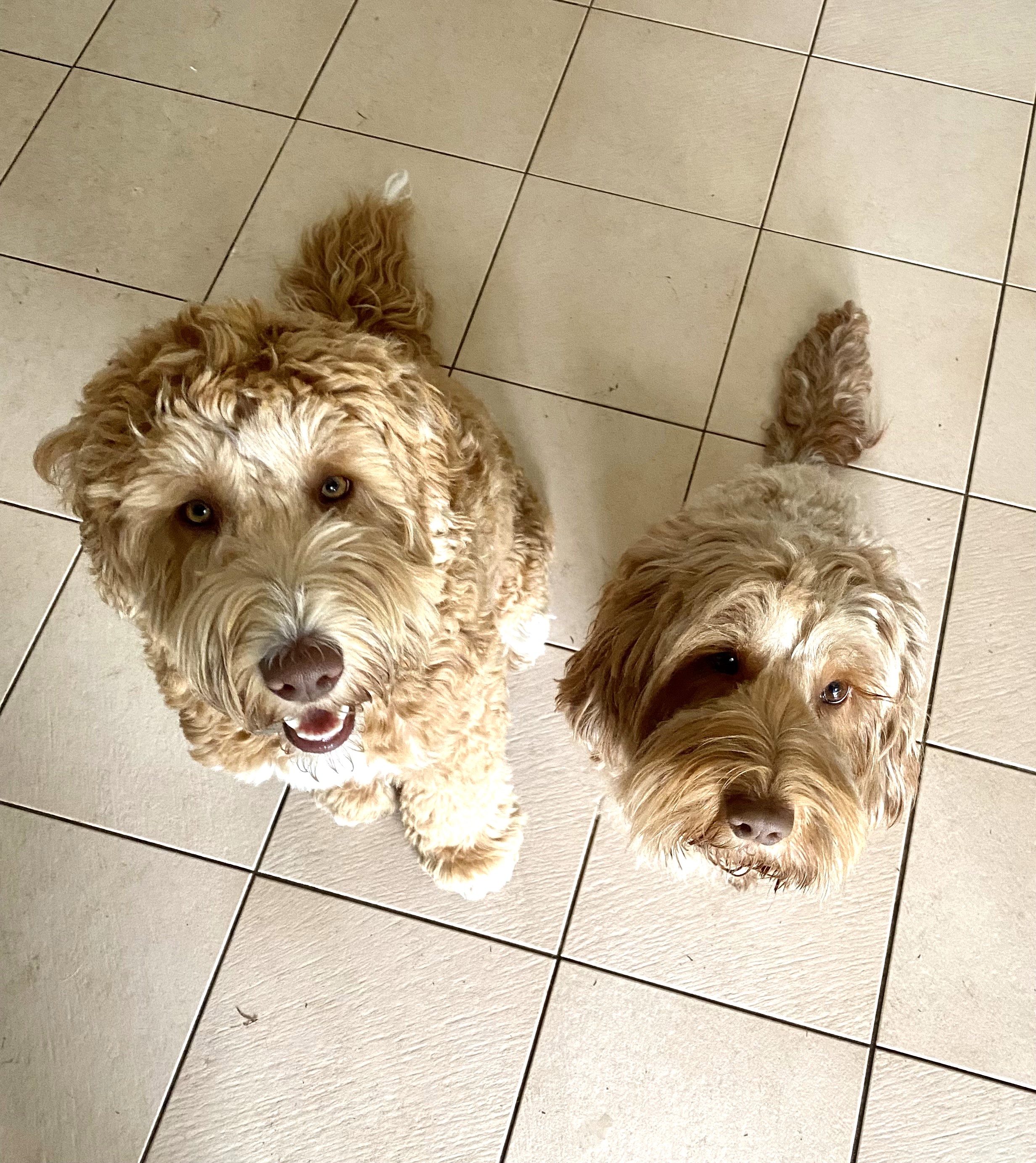 Billy & Charli